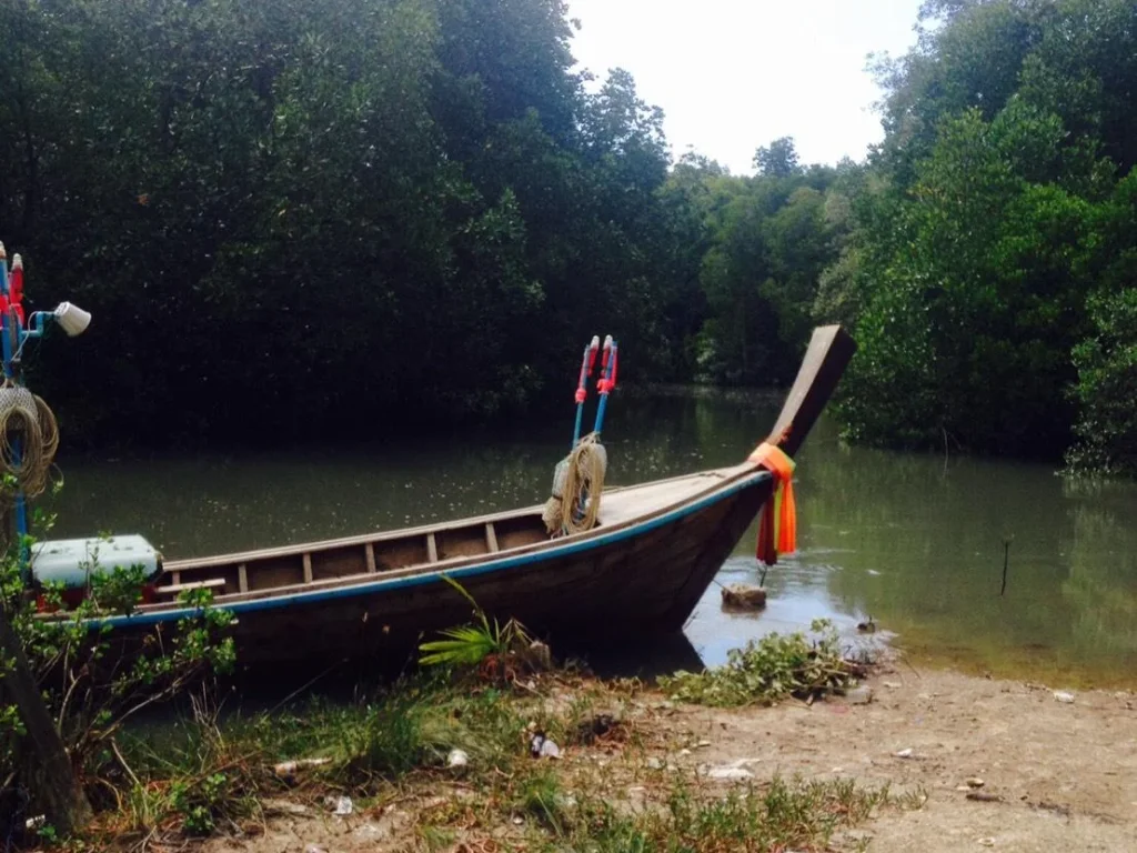 ขายที่ดินใกล้เมืองเหมาะเก็บเรือซ่อมเรือ