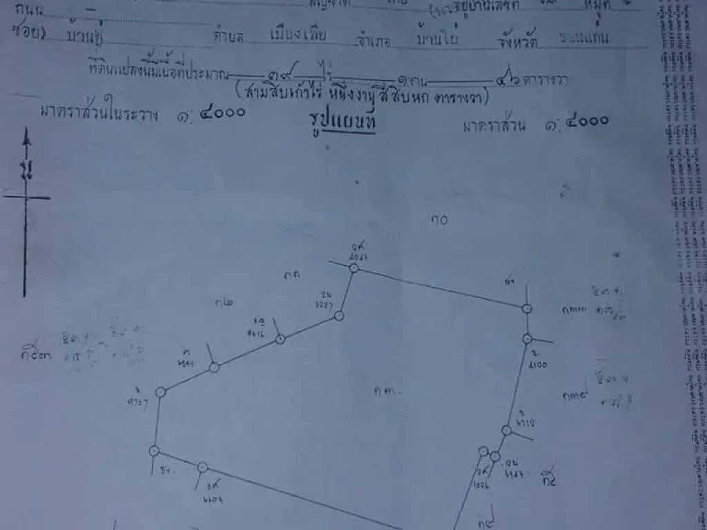 ขายที่นา 39 ไร่