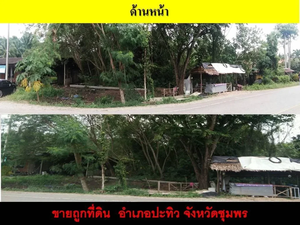 ขายถูกที่ดินติดถนน ตทะเลทรัพย์ อปะทิว จชุมพร