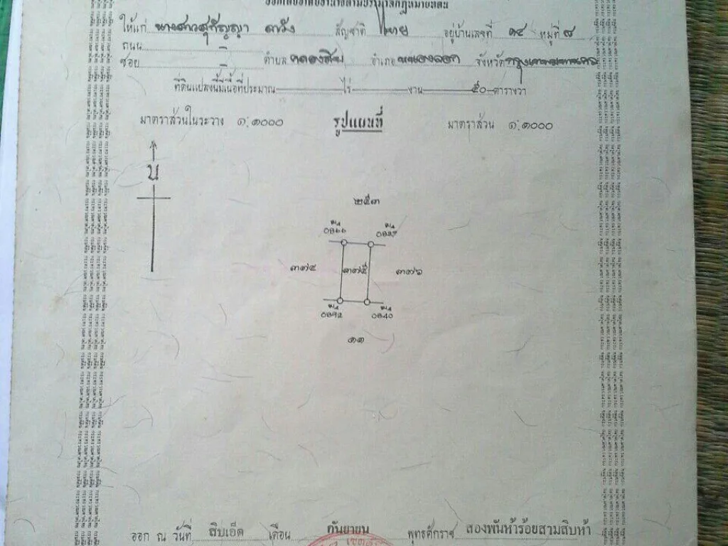 ขายที่ดิน 50 ตรว คลอง 10 เขตหนองจอก กรุงเทพฯ ราคาถูกสุดๆ