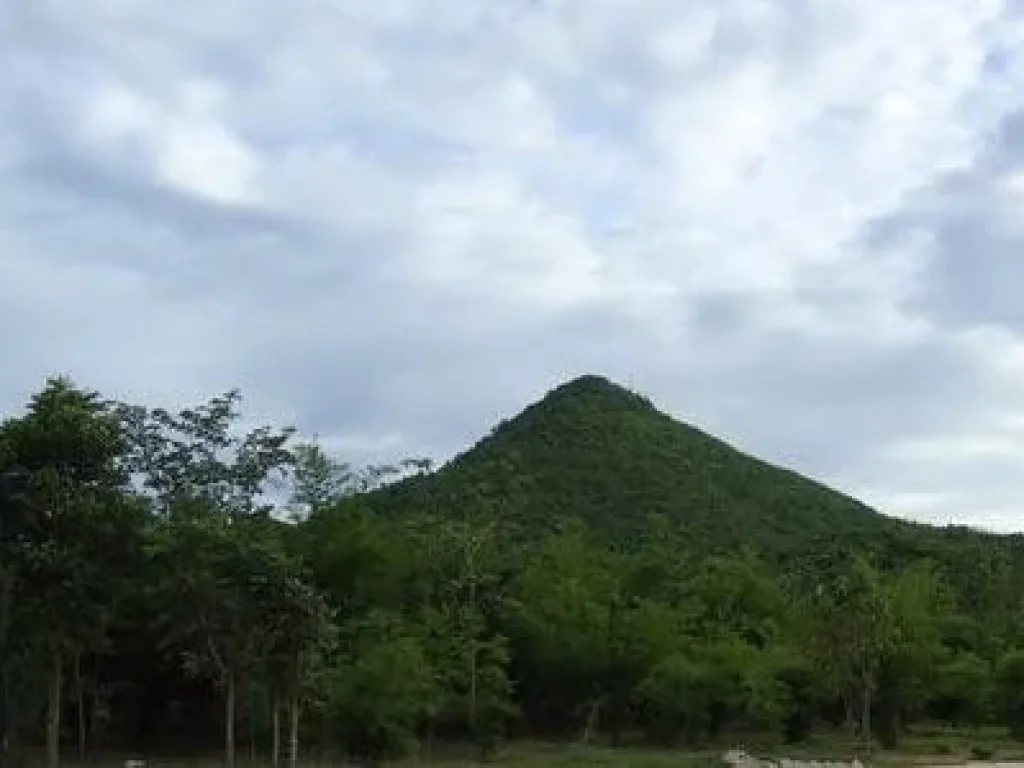 ที่ดินโฉนดดินดีวิวสวย 10 ไร่ไร่ละ 200000 บาท ติดถนนลาดยาง มีไฟฟ้าปะปาผ่าน