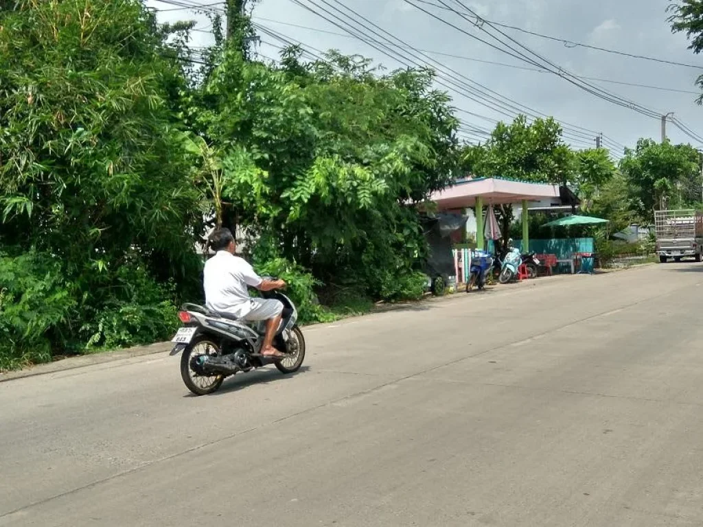 ขายที่ดินติดถนนเพชรหึงษ์หน้าโรงเรียนสำราญวิทยา