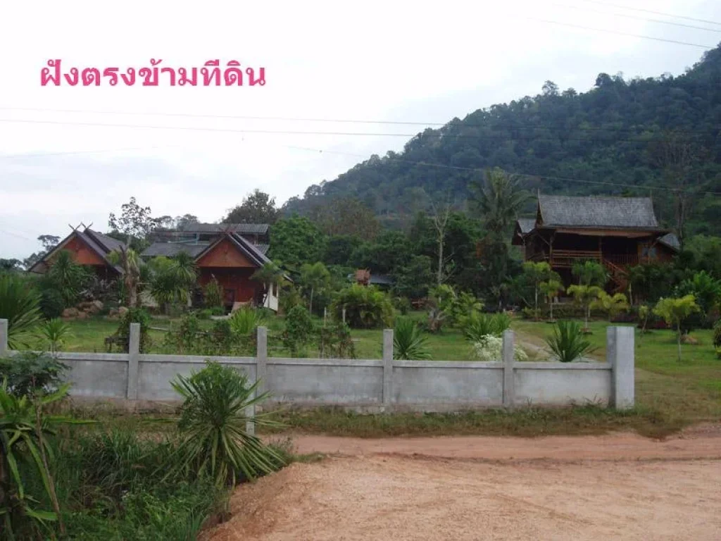 ขายที่ดินสวยมากใกล้เขาเหมาะกับธุรกิจบ้านพักตากอากาศ อภูเรือ