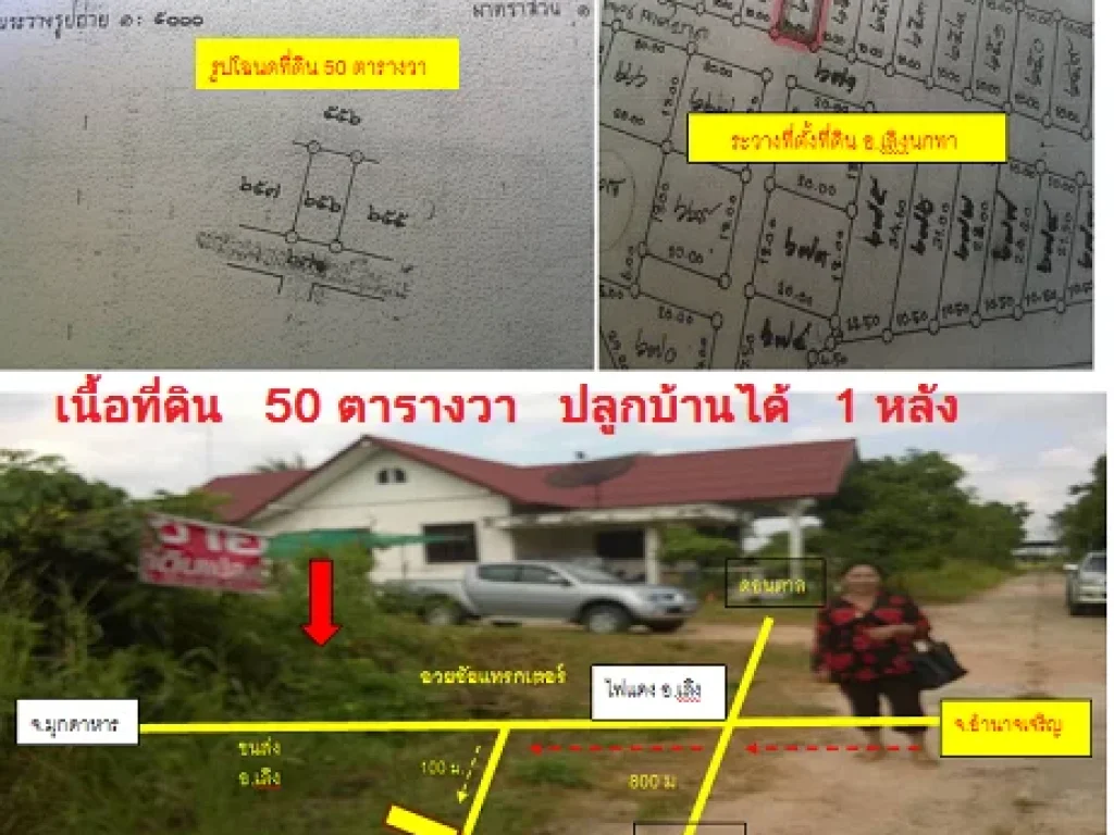 ลดราคาด่วนๆๆ ขายที่ดินใกล้สำนักงานขนส่งอำเภอเลิงนกทา เนื้อที่ 50 ตารางวา