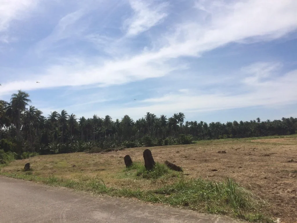 ที่ดินบ้านกรูดแบ่งขาย100ตรวขึ้นไป