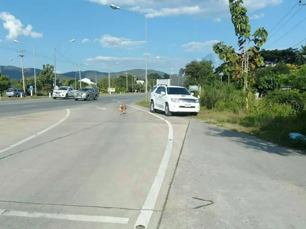 ขายที่ดิน10ไร่2งานติดถนนใหญ่สายชม-ดอยสะเก็ด ใกล้รพดอยสะเก็ดเพียง2กมขายถูกๆเพียงตรวละ7500บาท