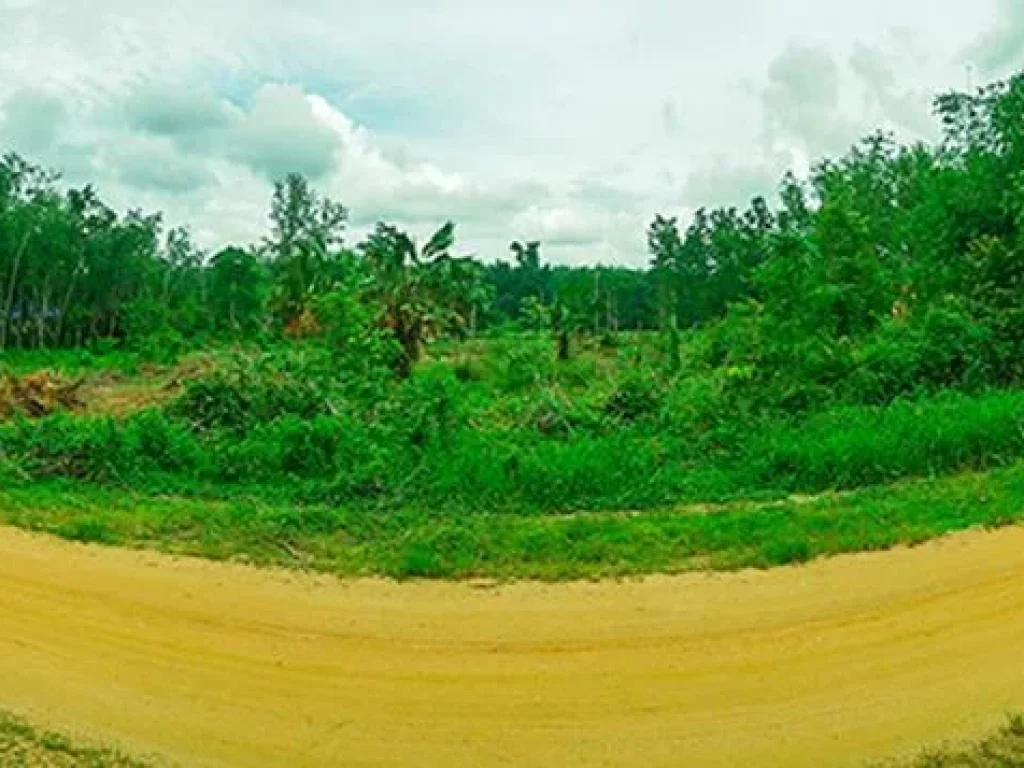 ด่วนขายที่ดิน ทำเลทอง ฟรีโอน ใกล้โครงการทางเลี่ยงเมืองหาดใหญ่-สงขลา