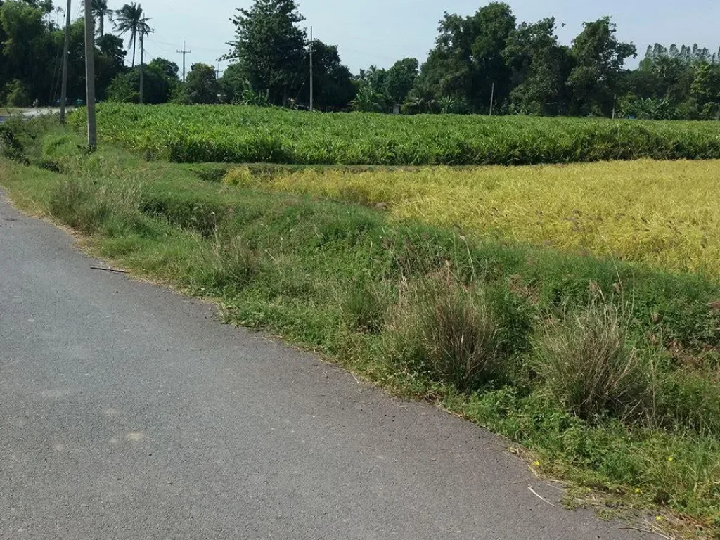 ที่ดิน เนื้อที่ 2ไร่ ติดถนนสองด้าน ติดครอง ไฟฟ้าน้ำประปาพร้อม ไร่ละ 300000