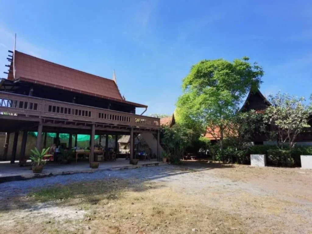 บ้านเรือนไทย สวยท่ามกลางธรรมชาติ บรรยากาศร่มรื่น วิวภูเขา