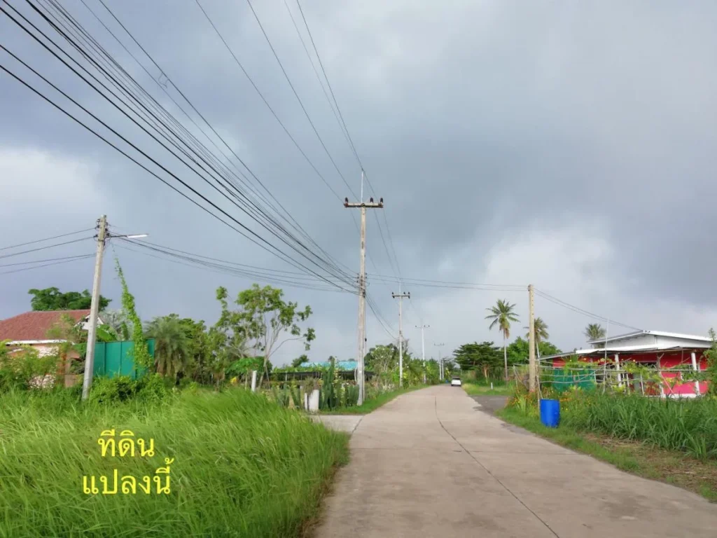 ขายที่ดินแปลงมุม ติดถนนคอนกรีตสองด้าน วิวภูเขา บ้านบึง ชลบุรี