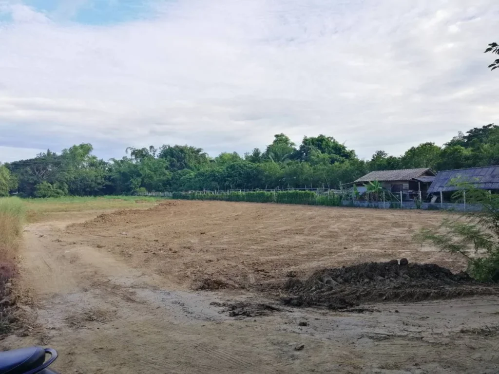 ขายที่ดินถมดินเรียบร้อยแม่คือ ห่างตลาด 15 km ดอยสะเก็ต เชียงใหม่