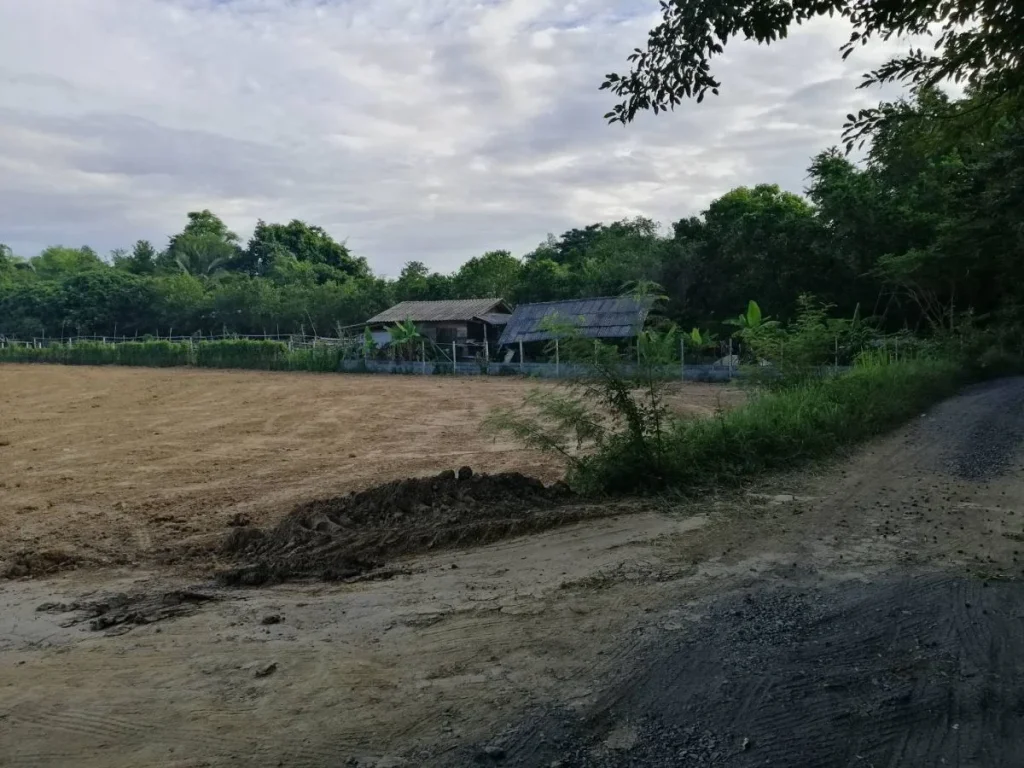 ขายที่ดินถมดินเรียบร้อยแม่คือ ห่างตลาด 15 km ดอยสะเก็ต เชียงใหม่