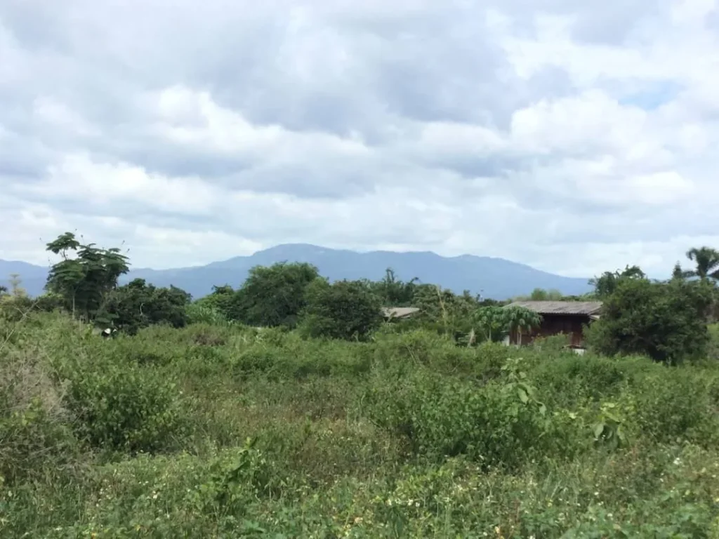 ขายที่ดินติดถนนคอนกรีต เจดีย์แม่ครัว ห่างตลาด 900 เมตร