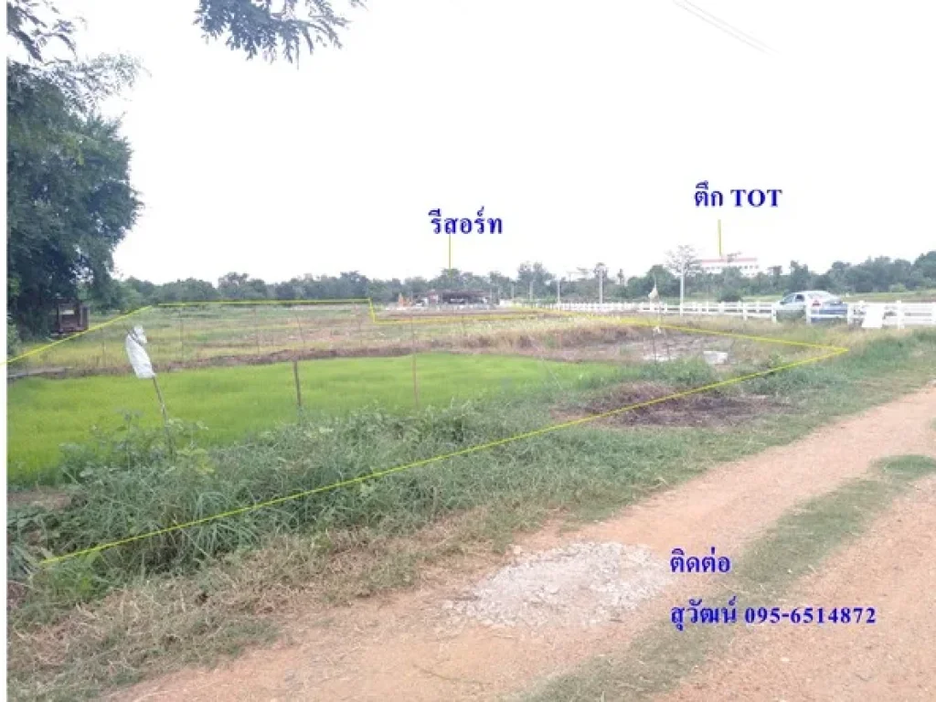 ขายที่ดิน 2 ไร่ ตสำราญ อ เมืองขอนแก่น จ ขอนแก่น ห่างถนนมิตรภาพ 100 เมตร 095-65-1-48-72 สุวัฒน์