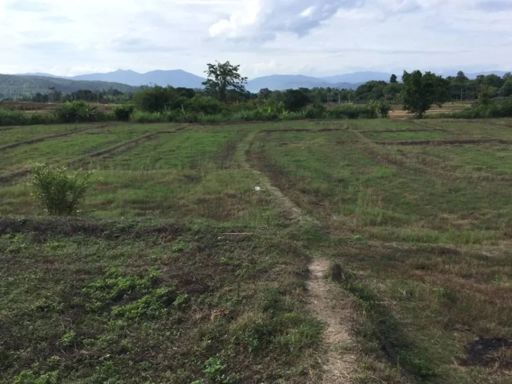 ขายที่ดินสะลวงล้อมรอบวิวภูเขา แม่ริม เชียงใหม่