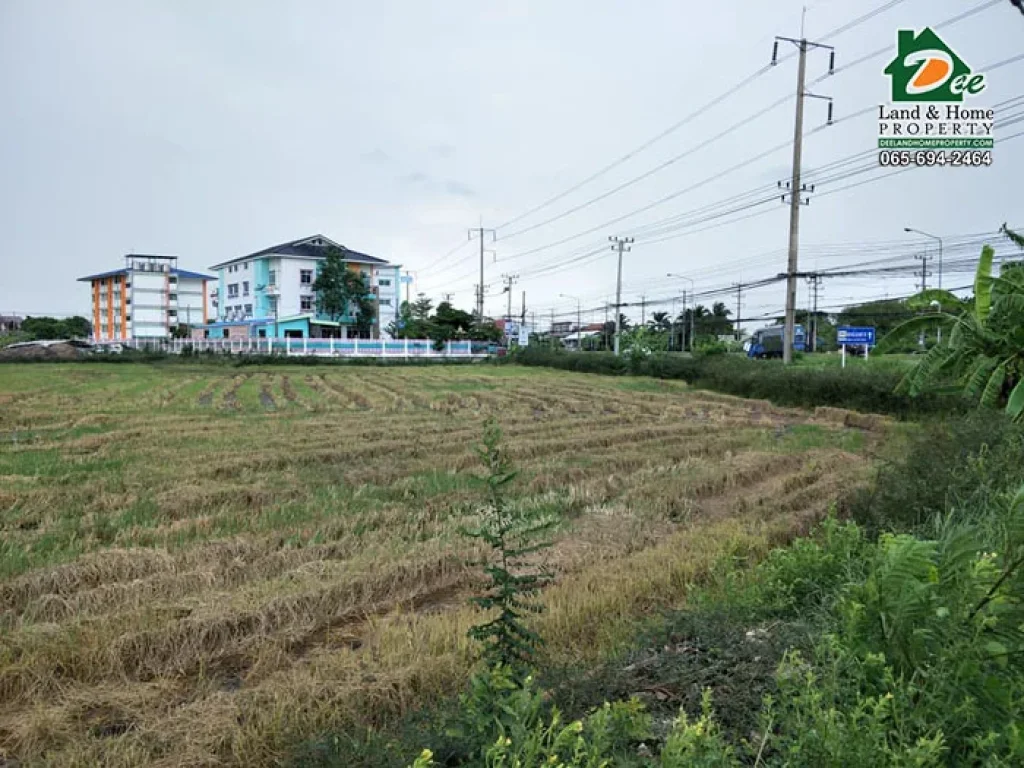 ขายที่ดินเปล่า 12 ไร่ 378 ตรว ริมถนนพุทธมณฑลสาย5 บางกระทึก สามพราน นครปฐม LA0135