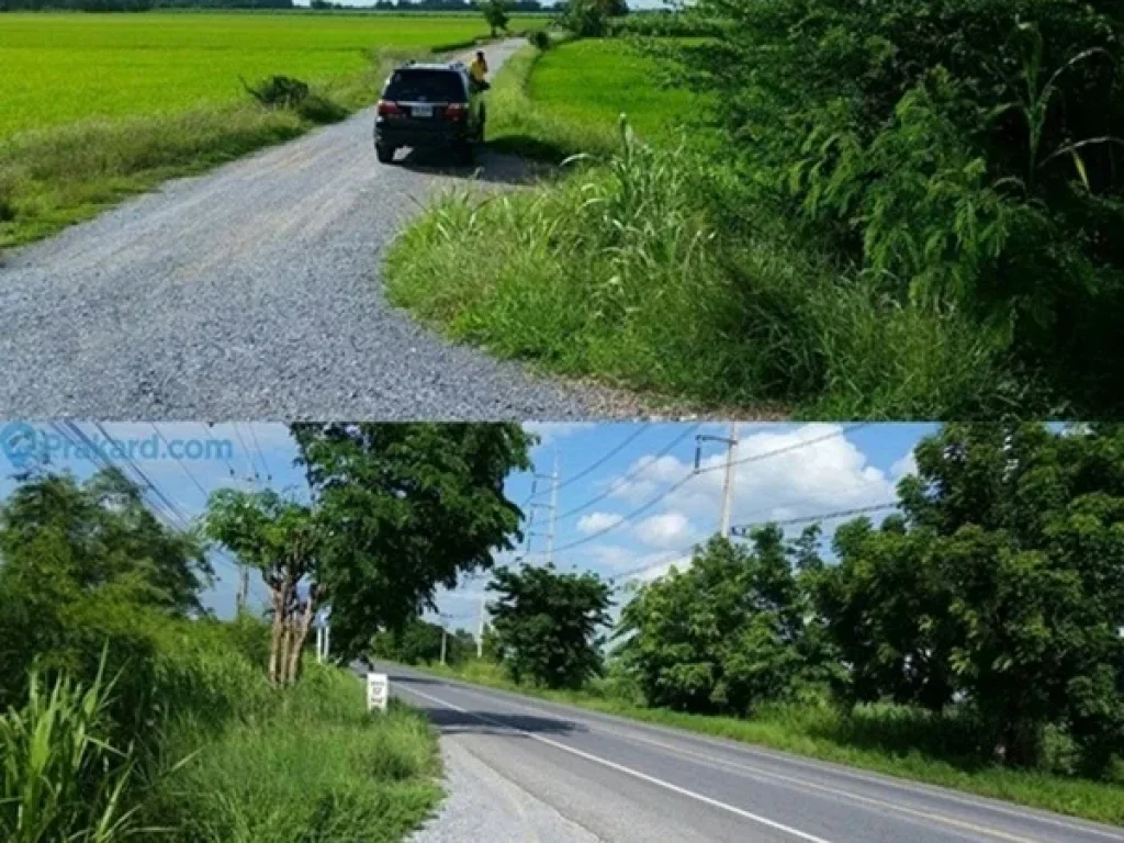 ขายที่นาติดถนนสายเอเชียบางระจัน จ สิงห์บุรี