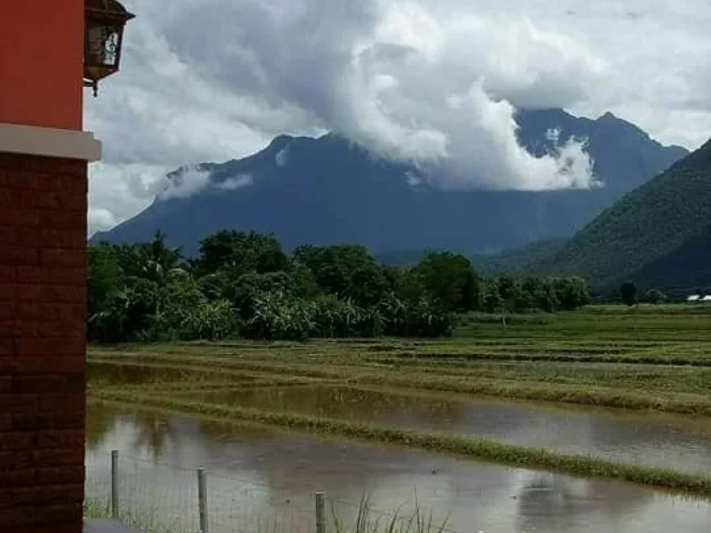 ขายที่ดินพร้อมสิ่งปลูกสร้างวิวเบื้องหน้าดอยหลวงใกล้ถนนสายหลัก