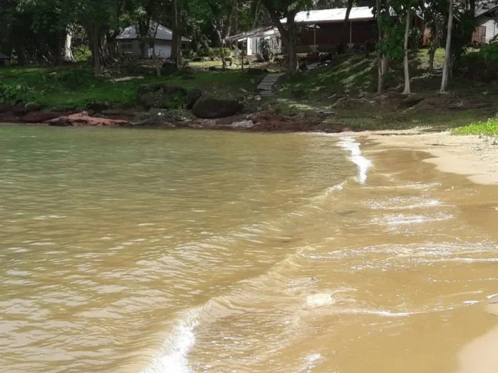 ขายที่ดินพร้อมบ้านพักตากอากาศ บน หน้าผา ติดทะเลหาดแม่พิมพ์ เดินลงเล่นชายหาดได้เลย