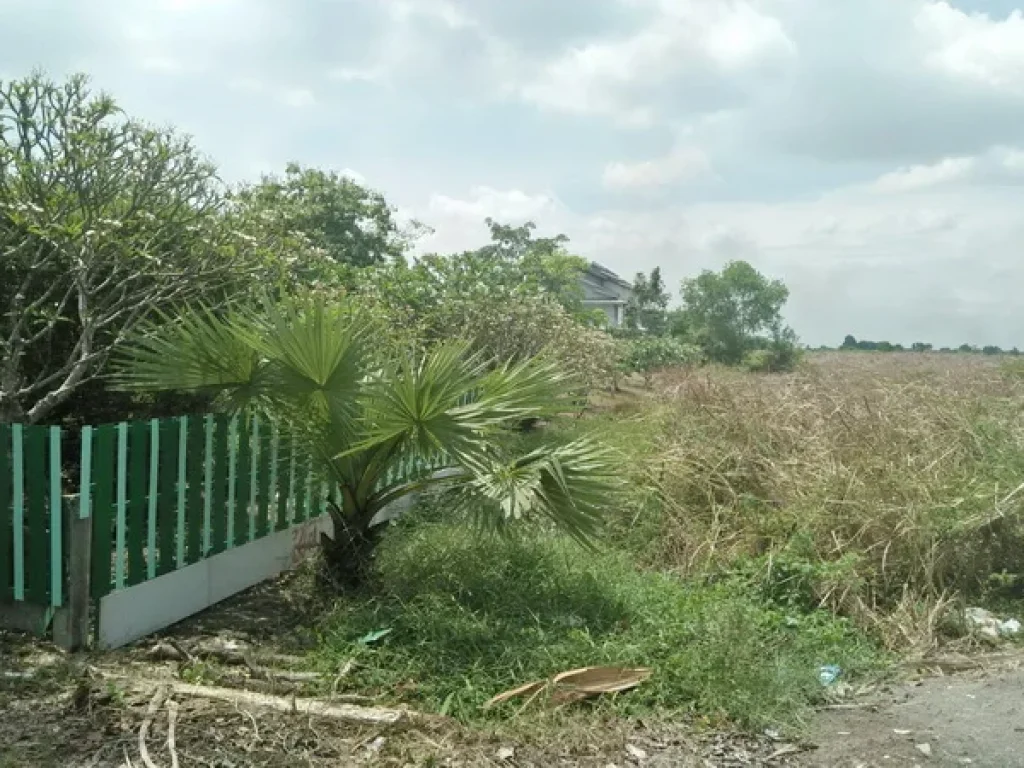 ขาย ที่ดิน ใกล้ รรเตรียมอุดมฯ สุวินทวงศ์ เมือง ฉะเชิงเทรา