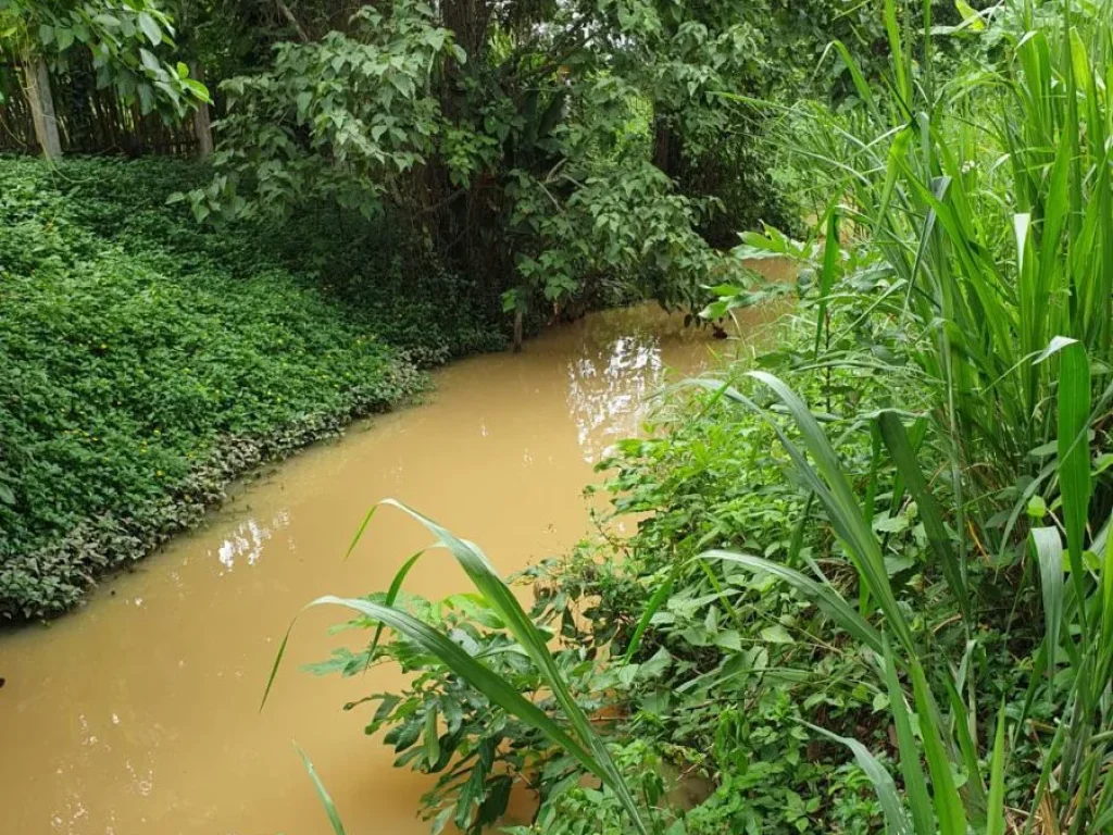 ขายที่ดินติดถนนดอยสะเก็ต เชียงใหม่ ไกล้จัดสรร