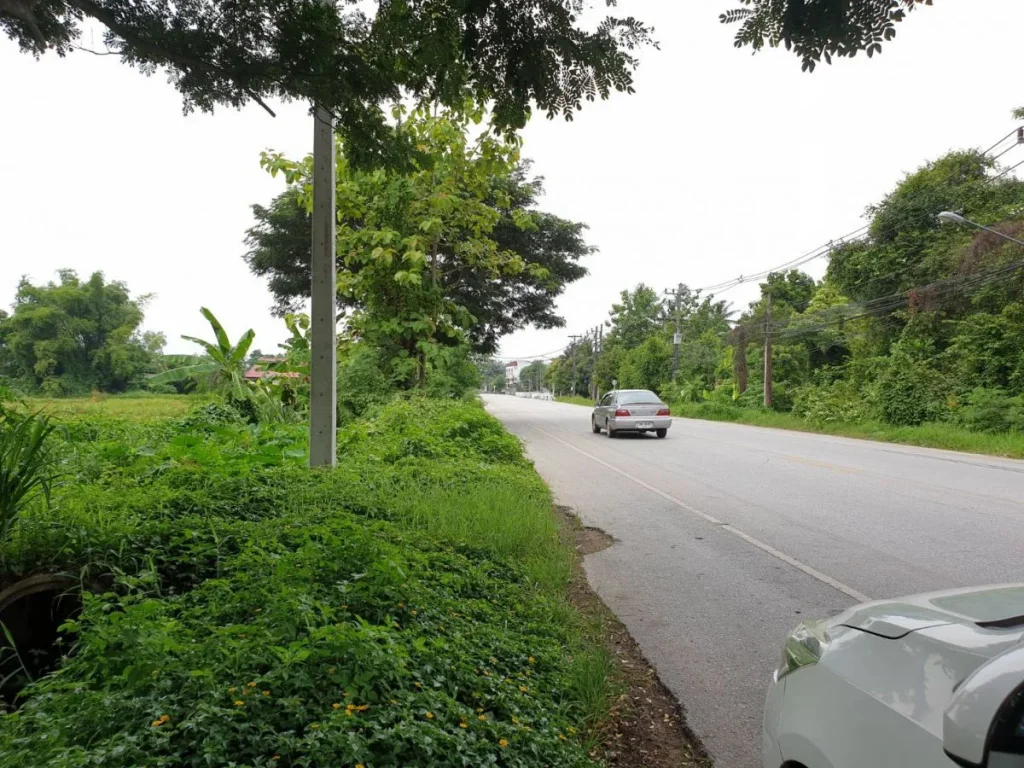 ขายที่ดินติดถนนดอยสะเก็ต เชียงใหม่ ไกล้จัดสรร