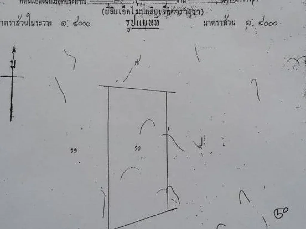 ขายที่ดิน ตเขาทราย อทับคล้อ จพิจิตร 50 ไร่