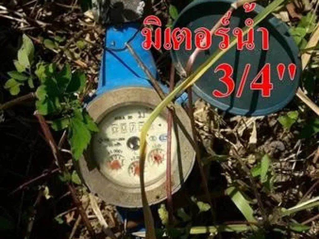 ขายที่ดิน 521ตรว พร้อมต้นลำไย29ต้น พร้อมอาคาร อ สารภี จ เชียงใหม่ ต สันทราย