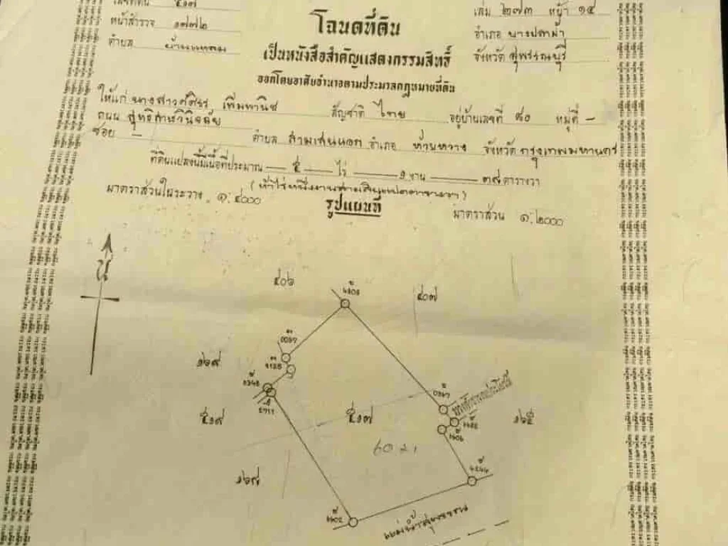 ขายที่ดินสวย ติดแม่น้ำท่าจีน พร้อมบ้านพัก อำเภอบางปลาม้า สุพรรณบุรี