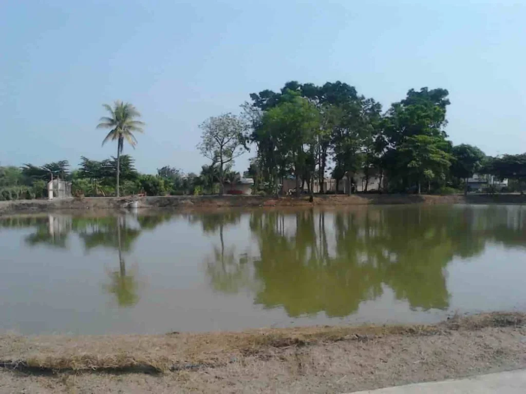 ขายที่ดินสวย ติดแม่น้ำท่าจีน พร้อมบ้านพัก อำเภอบางปลาม้า สุพรรณบุรี