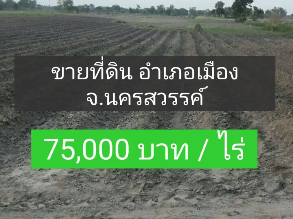 ขายที่ด่วนถูกมาก ไร่ละ 75000 จนครสวรรค์ ห่างถนนใหญ่200เมตร