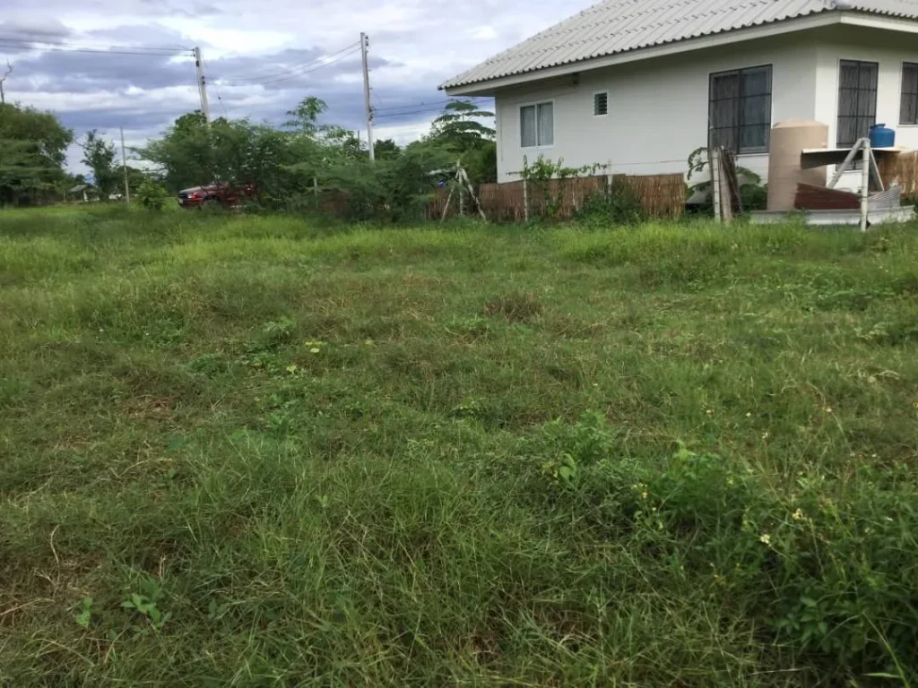 ขายที่ดินวิวดอยสุเทพ สันโป่ง แม่ริม ห่างถนน 300 เมตร เชียงใหม่