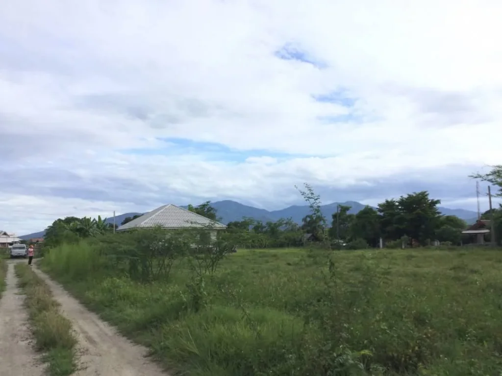 ขายที่ดินวิวดอยสุเทพ สันโป่ง แม่ริม ห่างถนน 300 เมตร เชียงใหม่