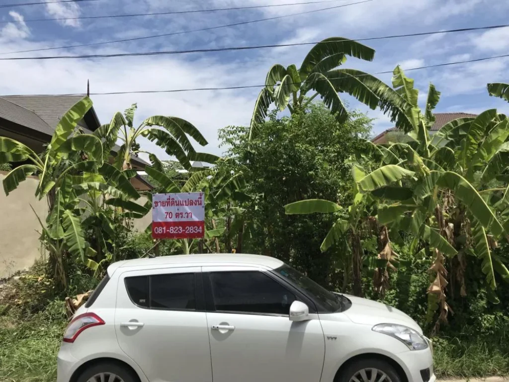 ขายที่ดิน 70 ตรว ซเฉลิมพระเกียรติ 47 ออกถนนบางนา ศรีนครินทร์สะดวก