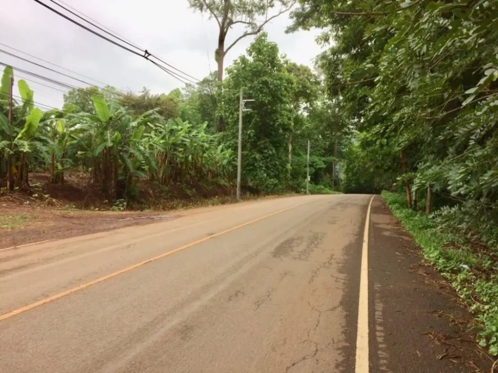 ขายที่ดินไกล้ล่องแพ แม่วาง ห่างบ้านกาด 17 km