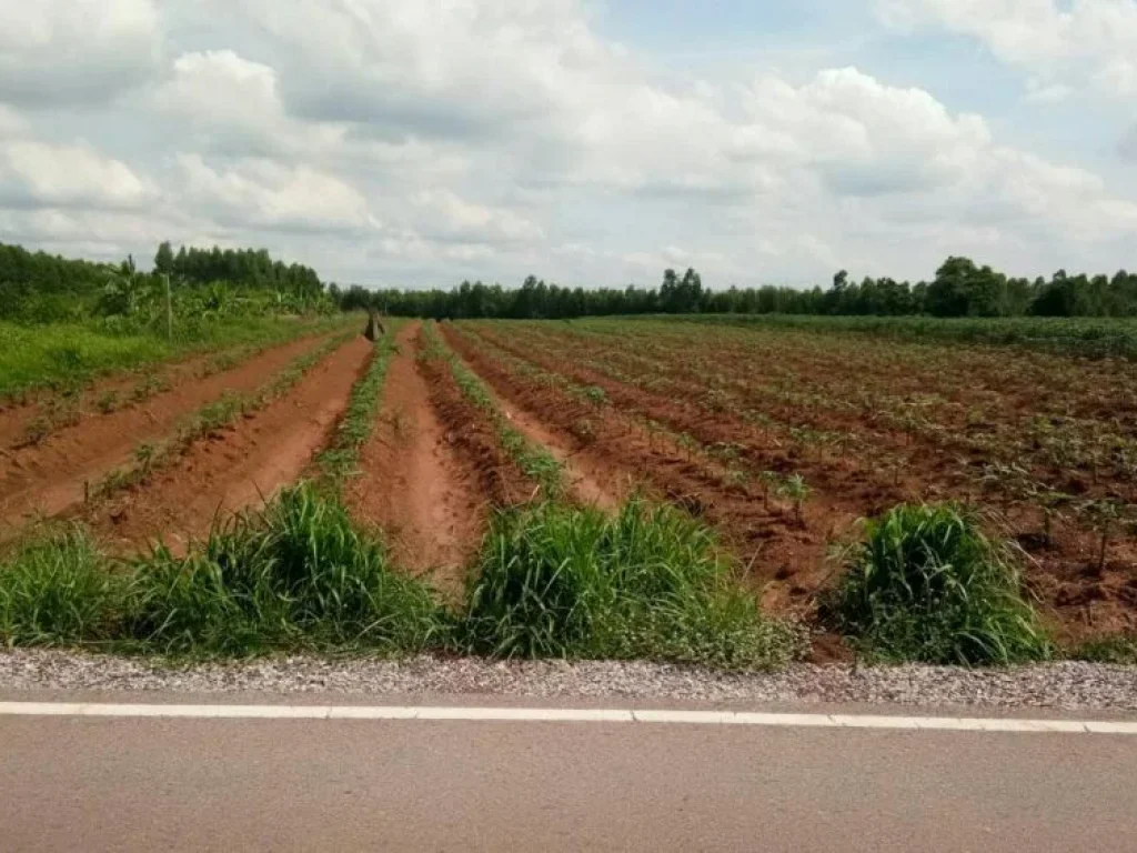 ที่ดินเหมาะสำหรับสร้างหอพัก ห้องแถว และซื้อเก็บเพื่อเกร็งกำไร