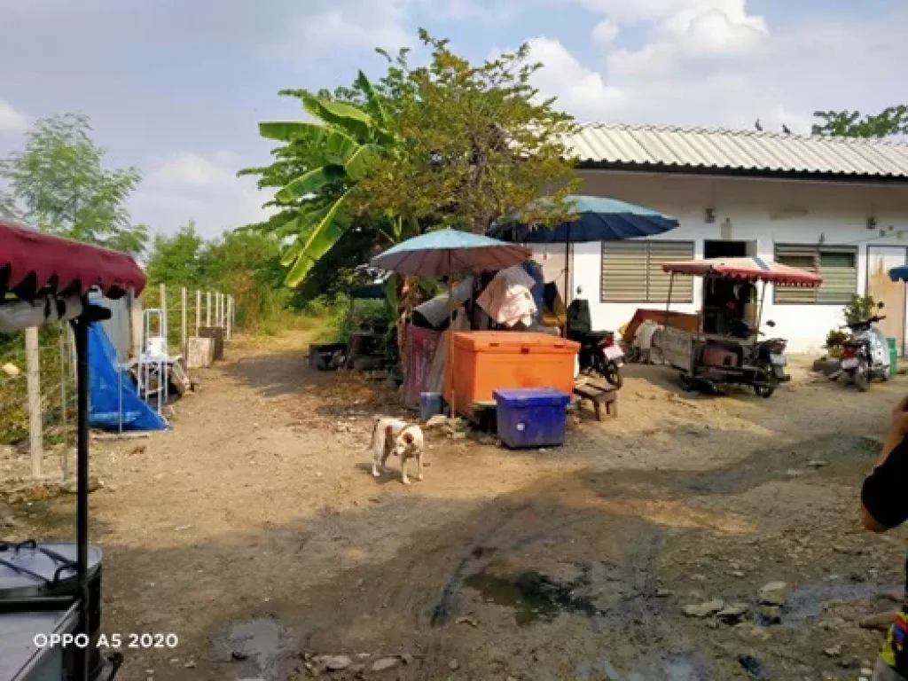 ที่ดินเปล่า 178 ตรว ซปุณณวิถี23