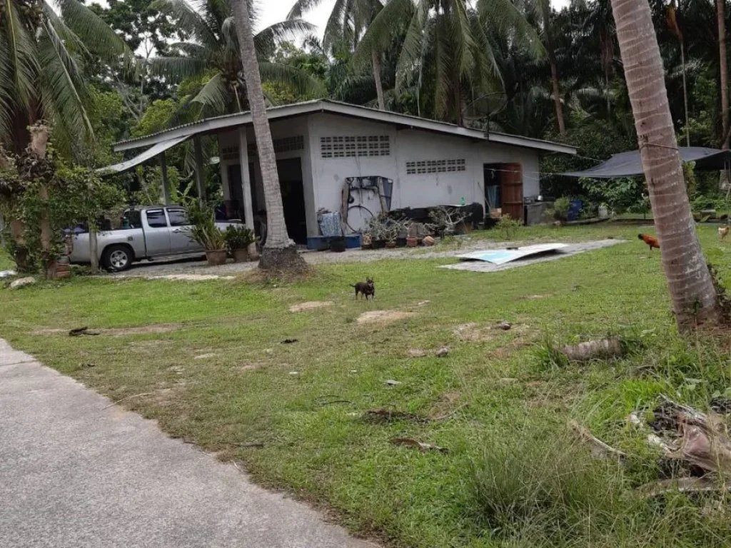 ต้องการขายที่ดินพร้อมบ้านพักอาสัย