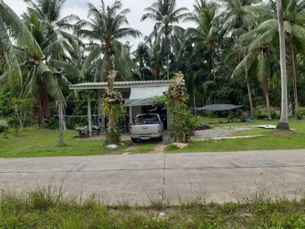 ต้องการขายที่ดินพร้อมบ้านพักอาสัย