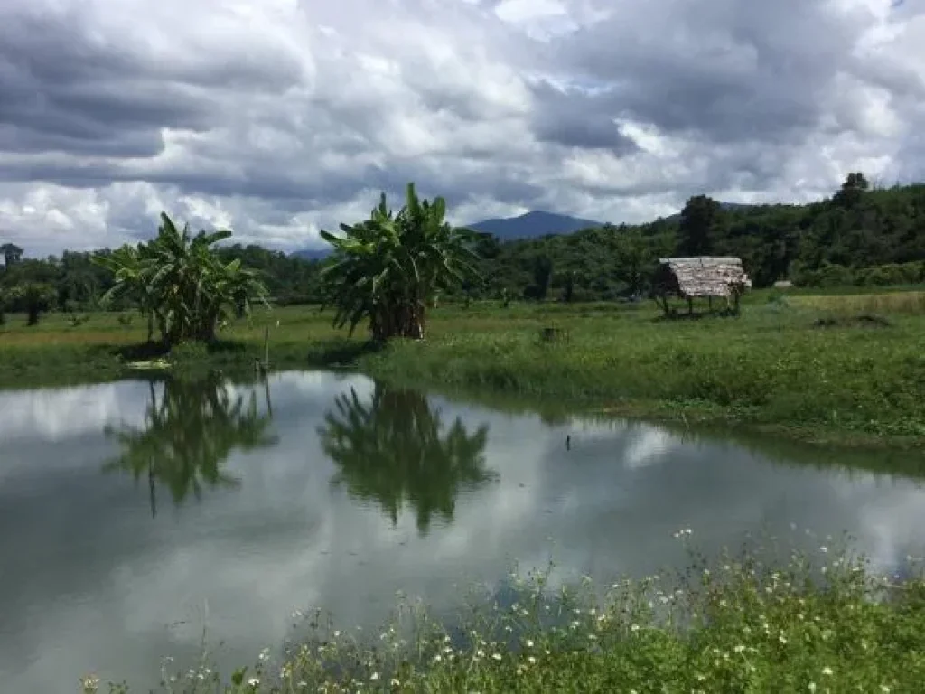 ขายที่ดิน เนื้อที่ 7-3-9 แม่ริม โฉนด ที่สวน วิวสวย มีสระเก็บน้ำ ขนาด 2งาน 1 บ่อ ถนนลาดยาง ไฟฟ้า ประปา อินเตอร์เน็ตผ่าน