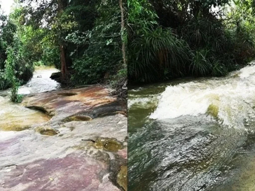 ขายที่ดินพร้อมสวนยาง ติดลำห้วย 25 ไร่ อสิรินธร จอุบล