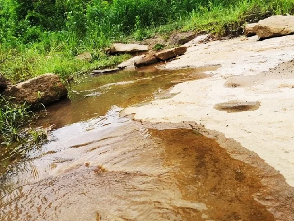 ขายที่ดินพร้อมสวนยาง ติดลำห้วย 25 ไร่ อสิรินธร จอุบล