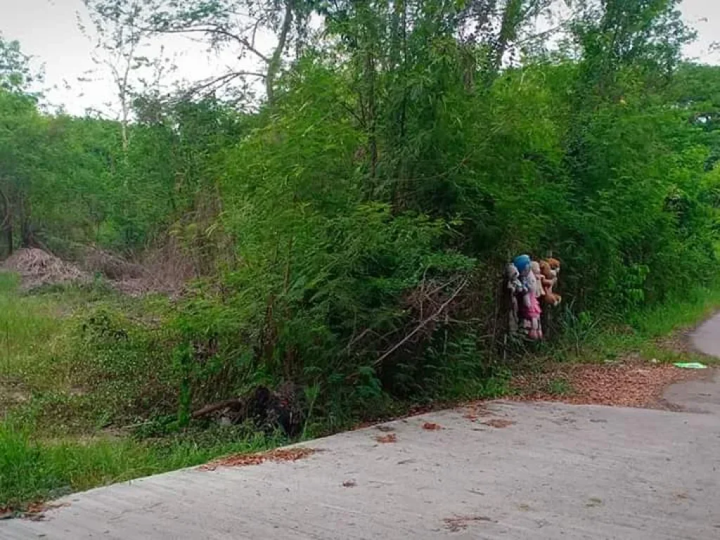 ขายที่ดินห่างสนามบินเชียงใหม่ 15 km ราคาถูก