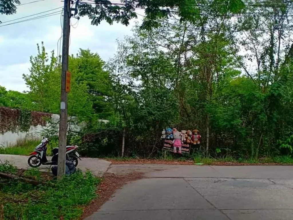 ขายที่ดินห่างสนามบินเชียงใหม่ 15 km ราคาถูก