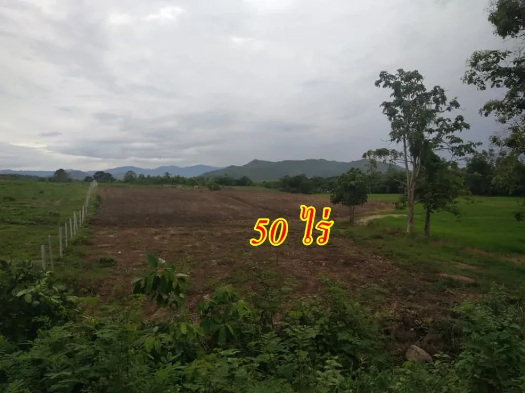 ขายที่ดิน50 ไร่ ติดถนนห้วยแม่ประจันต์ หนองหญ้าปล้อง เพชรบุรี วิวภูเขาสวย ราคาไร่ล่ะ 350000 บาท ตรงข้ามโรงแรมลีฟวัลเลย์ รอบๆที่ดินทำการเกษตร เหมาะสร