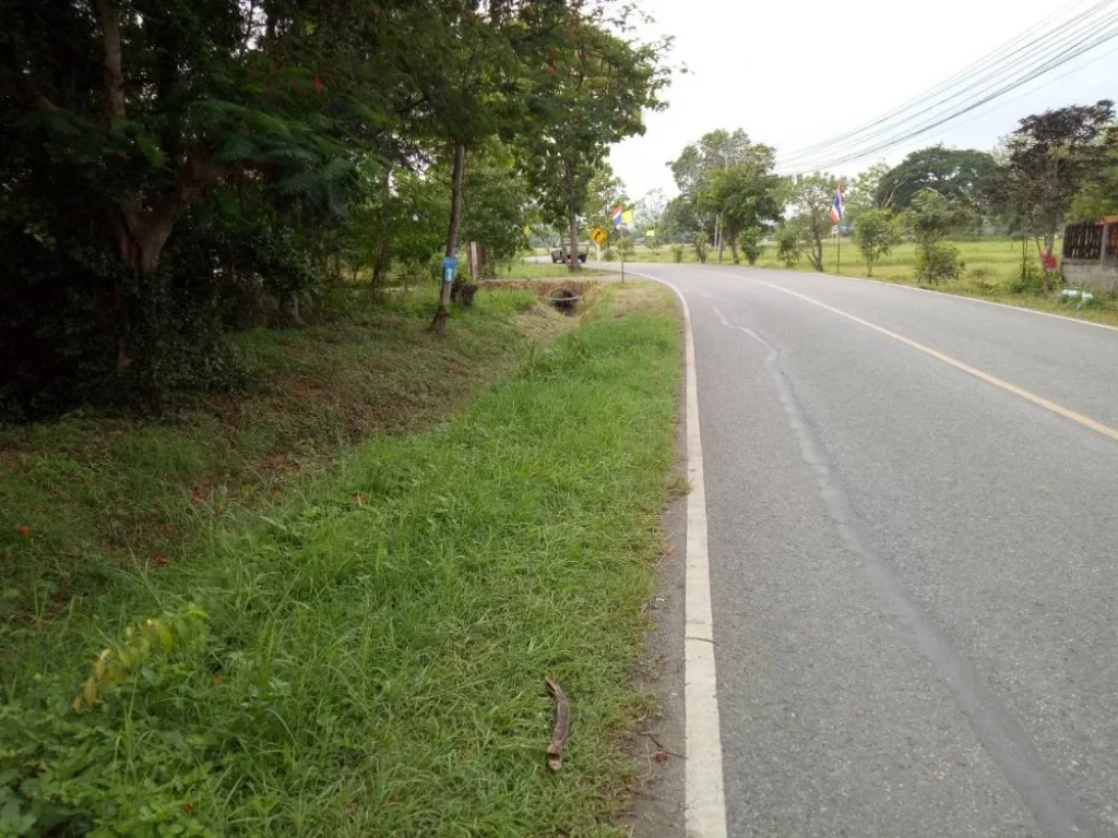 ขายที่ดินดอยสะเก็ต ตลาดขวัญ ติดถนน