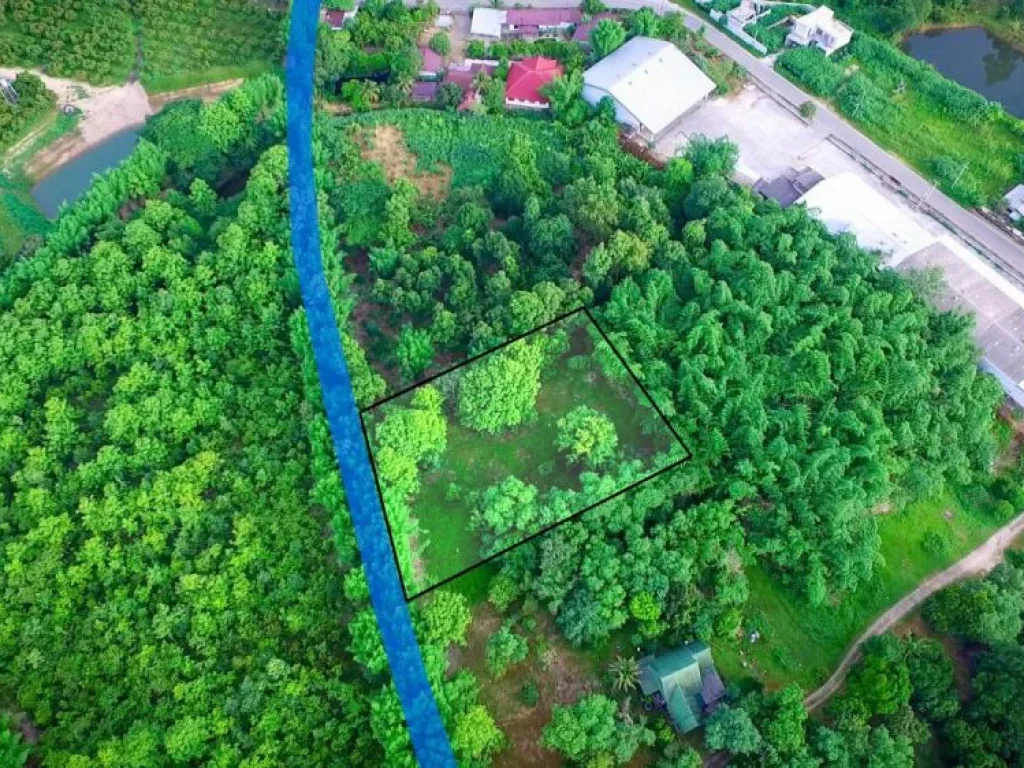 ขายที่ดินห้วยทราย แม่ริม ห่างถนนซอย 200 เมตร