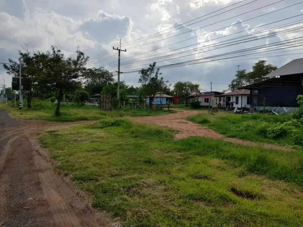 ขายที่ดิน 19 ไร่ ติดถนนมิตรภาพ ตรงข้ามพุทธมณฑลอิสาน