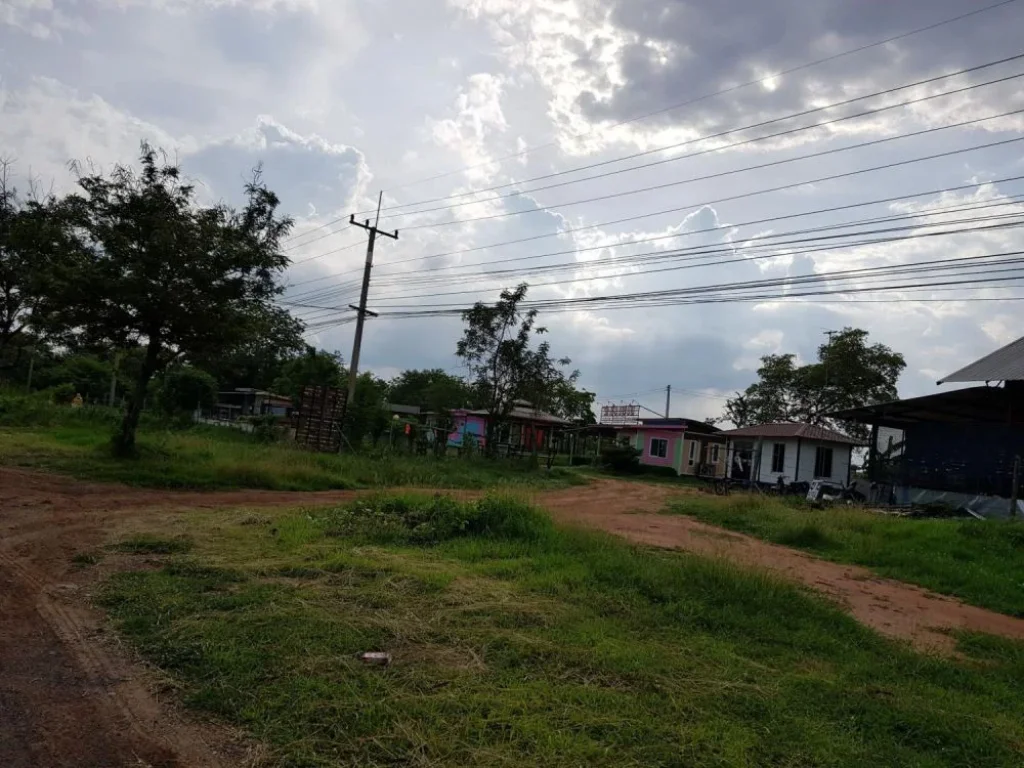 ขายที่ดิน 19 ไร่ ติดถนนมิตรภาพ ตรงข้ามพุทธมณฑลอิสาน