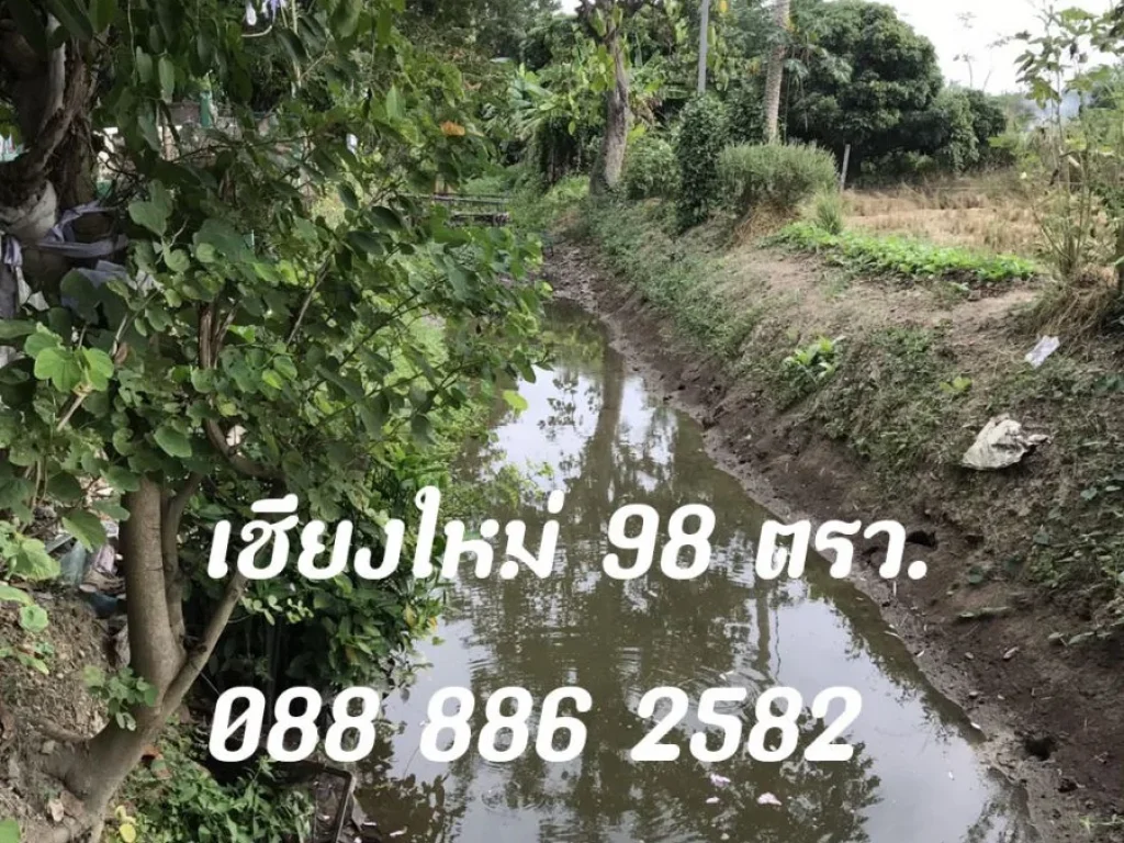 ขายที่ดินเชียงใหม่ 98 ตรว ติดน้ำจากชลประทาน